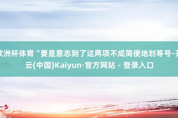 欧洲杯体育“要是意志到了这两项不成简便地划等号-开云(中国)Kaiyun·官方网站 - 登录入口