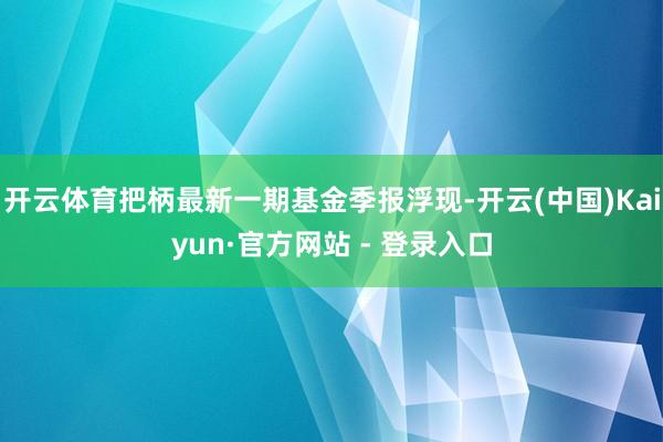 开云体育把柄最新一期基金季报浮现-开云(中国)Kaiyun·官方网站 - 登录入口