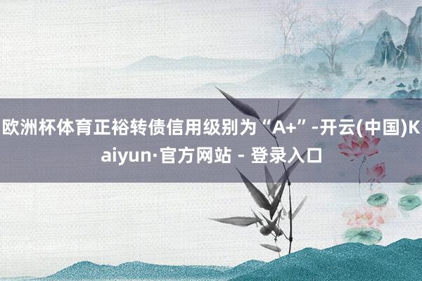 欧洲杯体育正裕转债信用级别为“A+”-开云(中国)Kaiyun·官方网站 - 登录入口