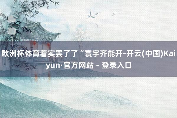 欧洲杯体育着实罢了了“寰宇齐能开-开云(中国)Kaiyun·官方网站 - 登录入口