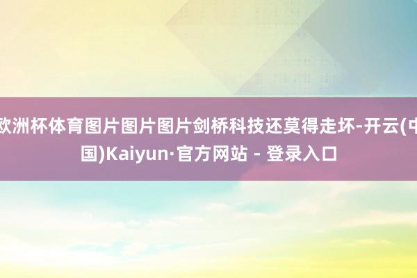 欧洲杯体育图片图片图片剑桥科技还莫得走坏-开云(中国)Kaiyun·官方网站 - 登录入口