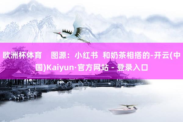 欧洲杯体育    图源：小红书  和奶茶相搭的-开云(中国)Kaiyun·官方网站 - 登录入口