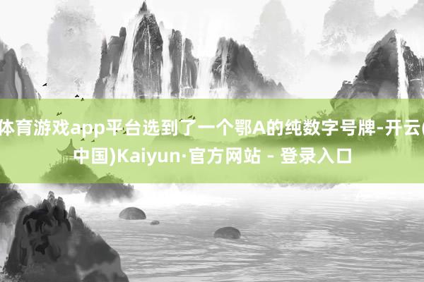 体育游戏app平台选到了一个鄂A的纯数字号牌-开云(中国)Kaiyun·官方网站 - 登录入口