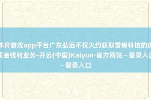 体育游戏app平台广东弘远不仅大约获取雪峰科技的优质金钱和业务-开云(中国)Kaiyun·官方网站 - 登录入口