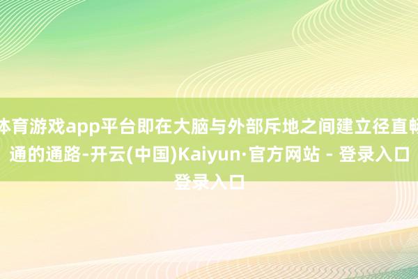 体育游戏app平台即在大脑与外部斥地之间建立径直畅通的通路-开云(中国)Kaiyun·官方网站 - 登录入口
