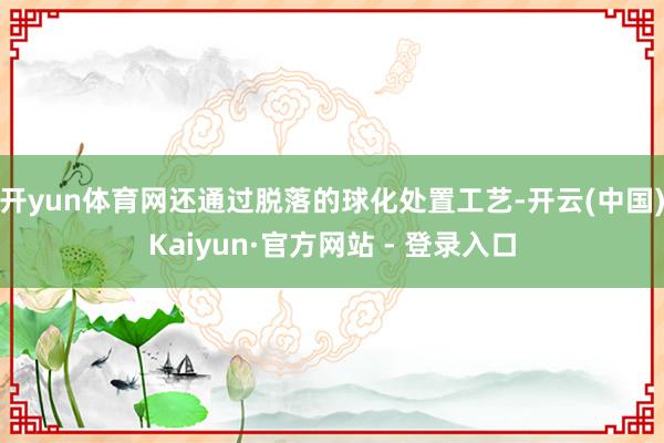开yun体育网还通过脱落的球化处置工艺-开云(中国)Kaiyun·官方网站 - 登录入口