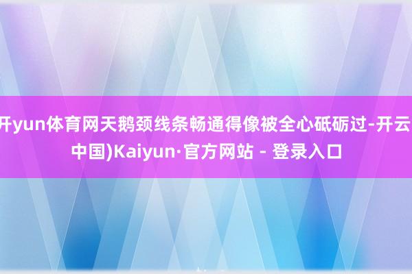 开yun体育网天鹅颈线条畅通得像被全心砥砺过-开云(中国)Kaiyun·官方网站 - 登录入口